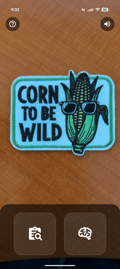 App screenshot - scanning a patch