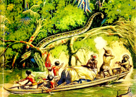 Anaconda illustration